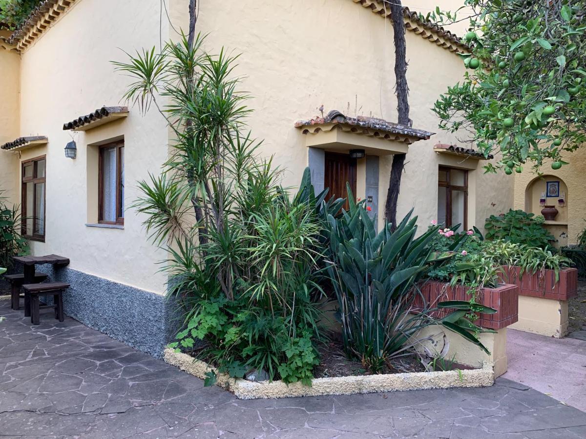 Casa Rural De Tio Felix Vega de San Mateo Dış mekan fotoğraf