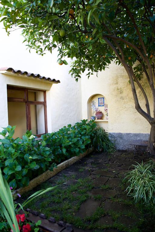 Casa Rural De Tio Felix Vega de San Mateo Dış mekan fotoğraf